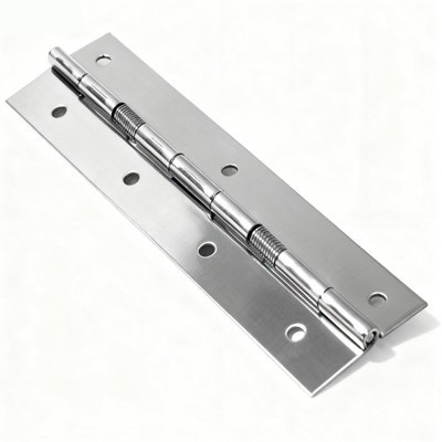Stainless Steel Spring Loaded Hinges best